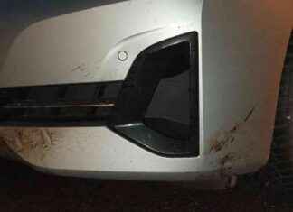 Kansanedustaja undvek allvarlig olycka – körde mellan två älgar news-28102024-222458