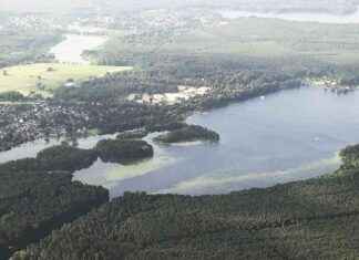 Mordmisstänkt jägare fortfarande på fri fot i Österrike – 50 personer skyddas news-31102024-013953