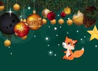 Julpost till äldre – Finlands gladaste och hjärtevärmande kampanj! – Kuusamo news-04112024-170619