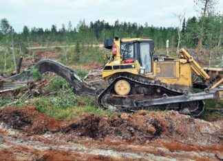 5 viktiga nyheter för skogsägare: Snöplogning inte helt historia, skogsavverkningsförordningen skapar splittring i EU news-16112024-102542