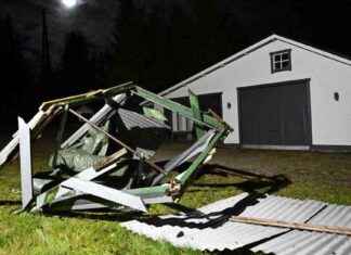 Stormar på de södra havsområdena – tiotusentals hushåll utan el på grund av hårt vind i södra och centrala delar av landet news-16112024-222803