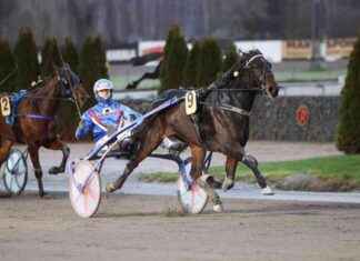 Metsämäen Ritari Ässä vinner treåriga sto-finalen på hemmabanan – överraskningsvinnare hyllades news-17112024-102939