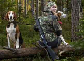 Jaktprogrammet räddades av jakthundar – en översikt news-17112024-223339