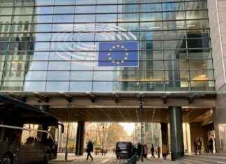 Ukraina är en pålitlig partner för EU inom jordbrukssektorn news-18112024-224433