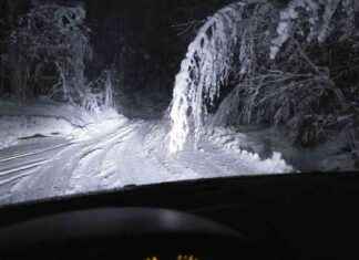 Kraftavbrott för över 60 000 hushåll efter stormen Jari, två döda i kollisioner news-21112024-062047