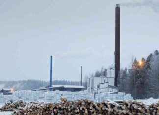 Ta tillvara och nyttja avdunstade föreningar vid träutorkning – Kommerciella möjligheter utforskas news-26112024-174855