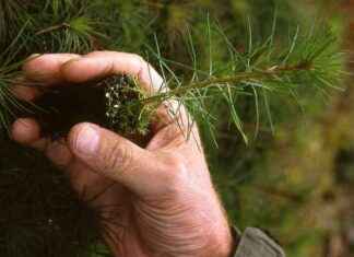 Ympäristövahinkorahaston perustaminen Kuusamoon news-29112024-120814