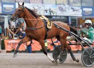 American Cooper återvänder till brottsplatsen: Dagliga hästkapplöpningar american-cooper-tervnder-till-brottsplatsen-dagliga-hstkapplpningar