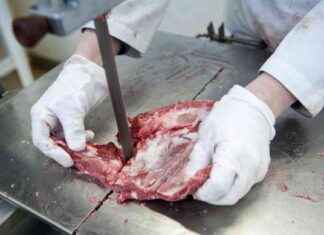 Illegal immigrants support the US meat industry – Trump’s immigration policy would cause chaos. llegal-immigrants-support-the-us-meat-industry-trumps-immigration-policy-would-cause-chaos