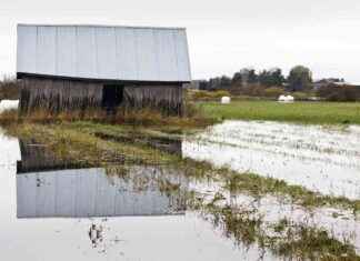 Säsongens första snöfall närmar sig – väderprognos för veckans slut news-01122024-122358