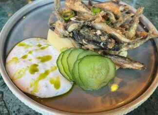 Alfreds utsökta muikar i lyxig miljö – Oulubon lockar gäster news-02122024-005619