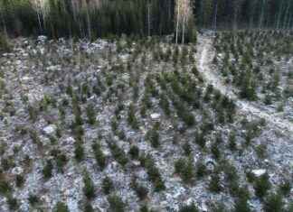 Metka-tuet 2021 snart slut – Överträffade förväntningarna news-03122024-032220