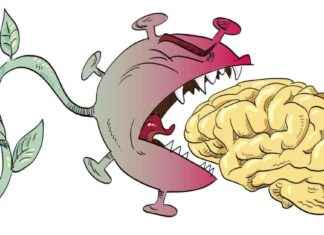 Vyöruusurokotet minskar risken för den fruktade sjukdomen vyruusurokotet-minskar-risken-fr-den-fruktade-sjukdomen