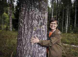 Bussar till Centrala Finlands nationalparker – Biljettförsäljning öppnar bussar-till-centrala-finlands-nationalparker-biljettfrsljning-ppnar