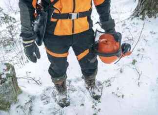 Effektiva verktyg för enkel användning i skogsarbete effektiva-verktyg-fr-enkel-anvndning-i-skogsarbete