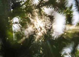 Kan januari slå värmerekord? Kalla temperaturer att återvända snart. kan-januari-sl-vrmerekord-kalla-temperaturer-att-tervnda-snart