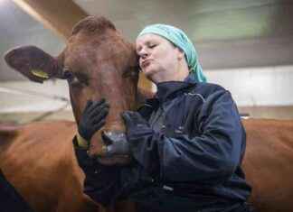 Lomittajat-sarja – Årets programkandidat lomittajat-sarja-rets-programkandidat