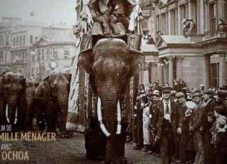 Sirkusnorsu Fritz tragiskt öde och grotesk postkort immortaliserad sirkusnorsu-fritz-tragiskt-de-och-grotesk-postkort-immortaliserad