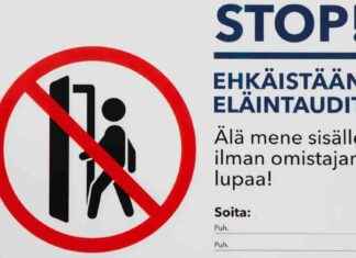 Svenska: Tysklands köttproducenter kämpar med djupare problem: Viktig handelspartner stängde sina gränser för att förhindra massdöd bland sina kor svenska-tysklands-kttproducenter-kmpar-med-djupare-problem-viktig-handelspartner-stngde-sina-grnser-fr-att-frhindra-massdd-bland-sina-kor