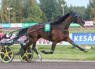 Blixtsnabb Stride kvalificerar sig för St Michels inbjudan blixtsnabb-stride-kvalificerar-sig-fr-st-michels-inbjudan