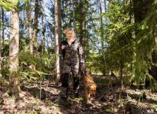 Jägarexamen populär bland kvinnor – nästan var tredje ny jägare är kvinna jgarexamen-populr-bland-kvinnor-nstan-var-tredje-ny-jgare-r-kvinna