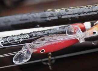 Kalastus fortfarande en populär hobby bland skolpojkar: överraskande resultat kalastus-fortfarande-en-populr-hobby-bland-skolpojkar-verraskande-resultat