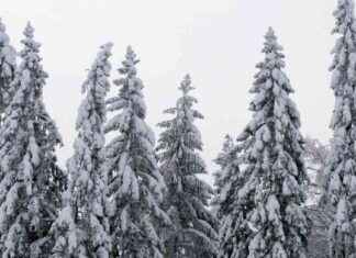 Kallare väder väntar – snöfall mestadels spridda flingor kallare-vder-vntar-snfall-mestadels-spridda-flingor