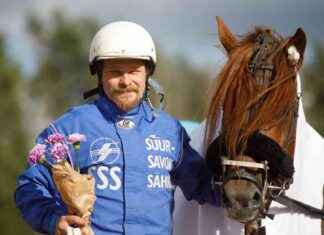 Ravivihje: Så erövrar du Vermo med framgång ravivihje-s-ervrar-du-vermo-med-framgng