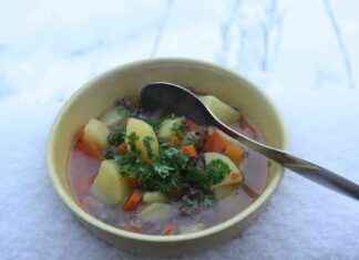 Rustik viltkött ger smak åt köttfärssoppa med grönsaker rustik-viltktt-ger-smak-t-kttfrssoppa-med-grnsaker