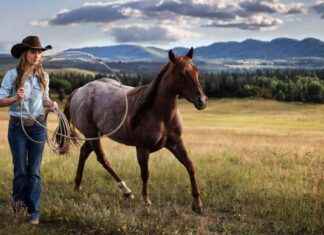 Spännande fortsättning på populära kanadensiska hästgårdsserien med grannens ungkarl spnnande-fortsttning-p-populra-kanadensiska-hstgrdsserien-med-grannens-ungkarl