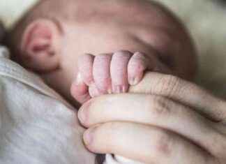 Sydkorea lyckas öka världens lägsta födelsetal sydkorea-lyckas-ka-vrldens-lgsta-fdelsetal