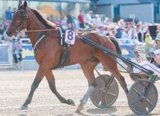 Tim Jerry och The Great Kemp dominerar dagens travlopp direkt från pausen tim-jerry-och-the-great-kemp-dominerar-dagens-travlopp-direkt-frn-pausen