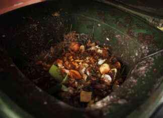 Hur du rengör din kompost efter vintern – experttips hur-du-rengr-din-kompost-efter-vintern-experttips