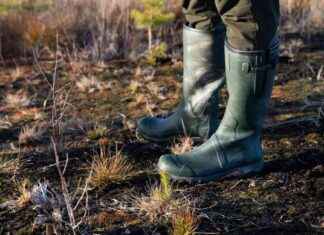 Kostnaderna för att köpa utsläppsrätter sjönk drastiskt kostnaderna-fr-att-kpa-utslppsrtter-sjnk-drastiskt