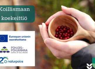 Matlagningsworkshop i Koillismaa – diskussionsevenemang – Kuusamo matlagningsworkshop-i-koillismaa-diskussionsevenemang-kuusamo