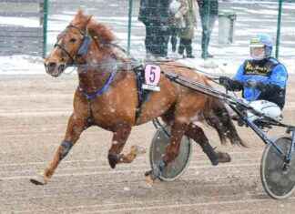 Morison jagar Rico i Suomen Cup-kvalificeringen morison-jagar-rico-i-suomen-cup-kvalificeringen