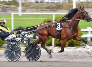 Päivän ravit: Huvudscenen med Nacho Web Killer pivn-ravit-huvudscenen-med-nacho-web-killer