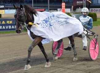 Burnleyn 2024/25 kauden ennuste: Yksi vahvimmista joukkueista – The72 suomen-ystvn-ikluokkathti-lopetettiin-nyheter-och-information