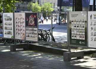 Ungdomars andel av kandidaterna i kommunalvalet sjönk till knappt åtta procent. ungdomars-andel-av-kandidaterna-i-kommunalvalet-sjnk-till-knappt-tta-procent