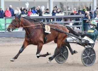 Massimo Hoist deltar i Kymi GP – Allt du behöver veta massimo-hoist-deltar-i-kymi-gp-allt-du-behver-veta