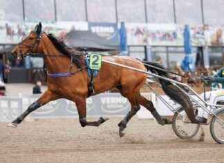 Favorit för dagen: EL Indeed toppar Isokengän-racet favorit-fr-dagen-el-ndeed-toppar-sokengn-racet