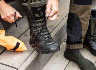 Gratis jaktkött – en myt som är långt ifrån sanningen gratis-jaktktt-en-myt-som-r-lngt-ifrn-sanningen