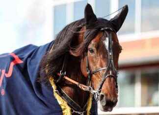 Kan Massimo Hoist nå Elitloppet-finalen? kan-massimo-hoist-n-elitloppet-finalen