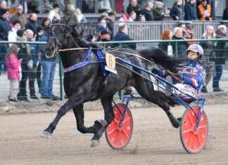 Kymi GP: s andra kvalificerade häst för Crepe Match kymi-gp-s-andra-kvalificerade-hst-fr-crepe-match