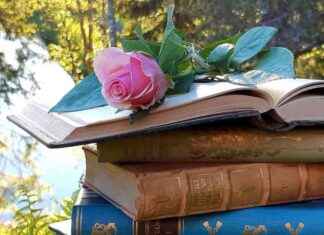 Lohjalla valmistuvat 211 ylioppilasta tänä keväänä lohjalla-valmistuvat-211-ylioppilasta-tn-kevn