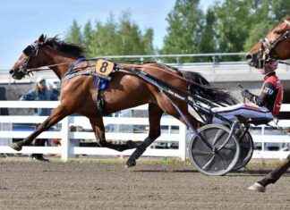 MAS Champ Kaustis – Huvudattraktionen på dagens travlopp mas-champ-kaustis-huvudattraktionen-p-dagens-travlopp