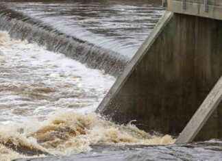 Nya titel: Finland leder i Europa med rivning av dammar – så många revs eller passerades förra året nya-titel-finland-leder-i-europa-med-rivning-av-dammar-s-mnga-revs-eller-passerades-frra-ret