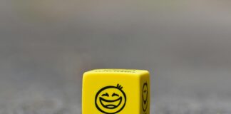 Musti Ja Mirri Espoo Suomenoja – Löydä Parhaat Lemmikkitarvikkeet!