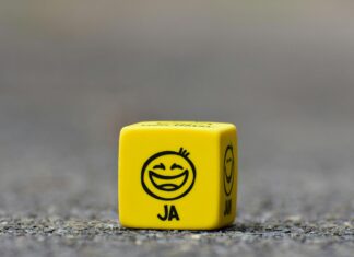 Musti Ja Mirri Espoo Suomenoja – Löydä Parhaat Lemmikkitarvikkeet!