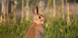 Ilmalämpöpumppu Huolto Espoo – Tehokkaat Vinkit Toimivuuteen